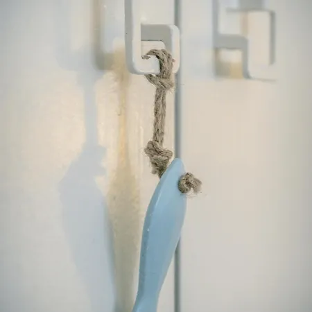 - Nº2 Apartment
